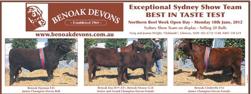 Advt for Benoak Devons Land 